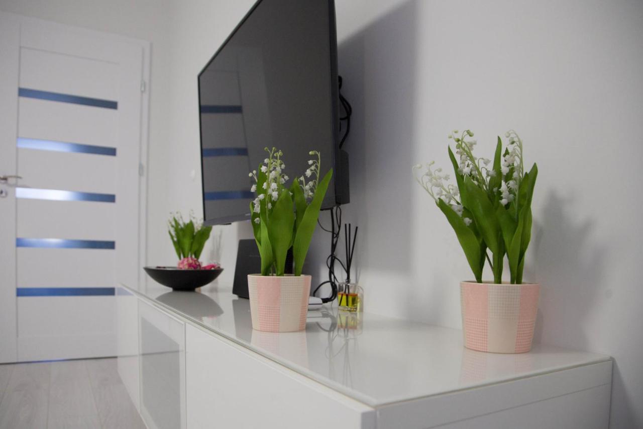 Apartament Wroclaw Borowska 外观 照片